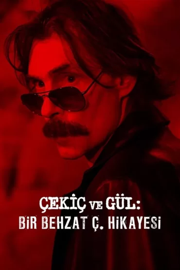 Dizi Kapak